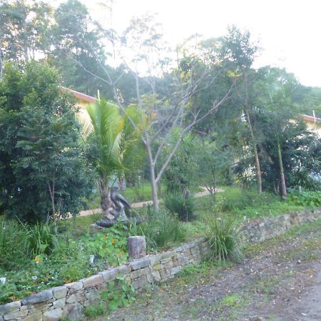 Teretre Cabins Nimbin Villa Kültér fotó