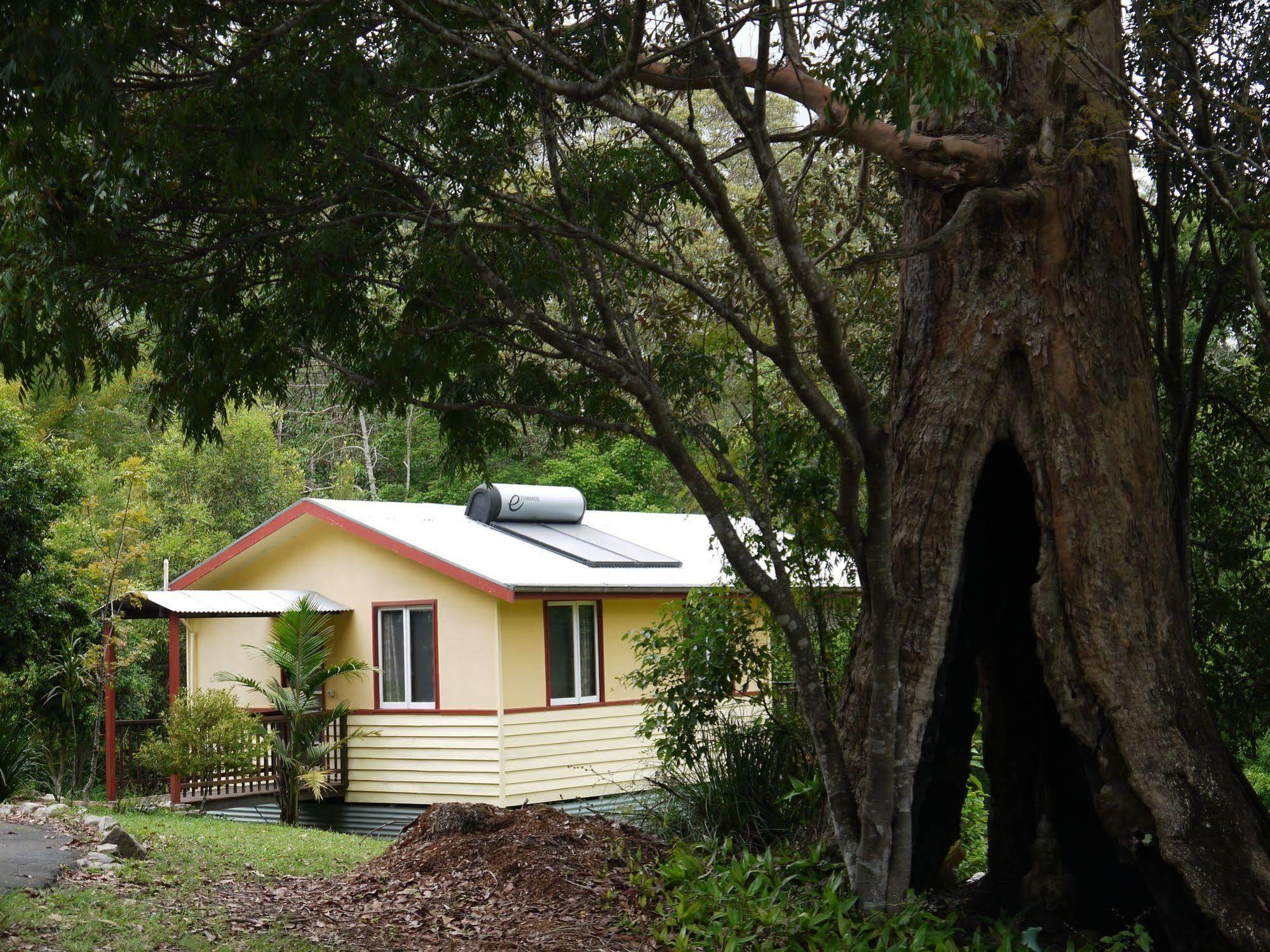 Teretre Cabins Nimbin Villa Kültér fotó